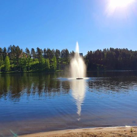 Mansikkaharju Holiday Camp Leppävirta Dış mekan fotoğraf